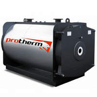 Газовый котел PROTHERM Бизон NO 2000