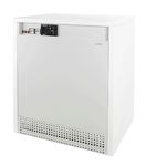 Газовый котел PROTHERM Гризли 65 KLО